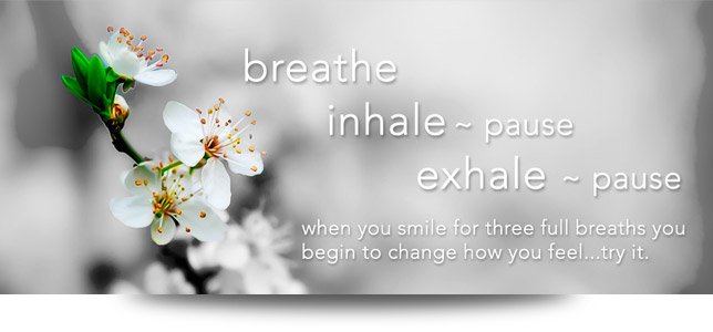 Guided Meditation